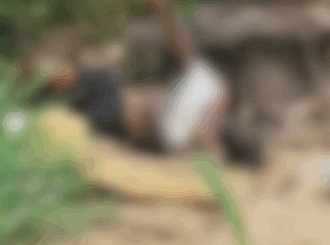 Corpo de homem é encontrado em avançado estado de decomposição no 13 de Setembro