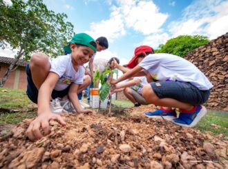 Plantando o Futuro: comitê das Crianças põe a “mão na terra” pela natureza