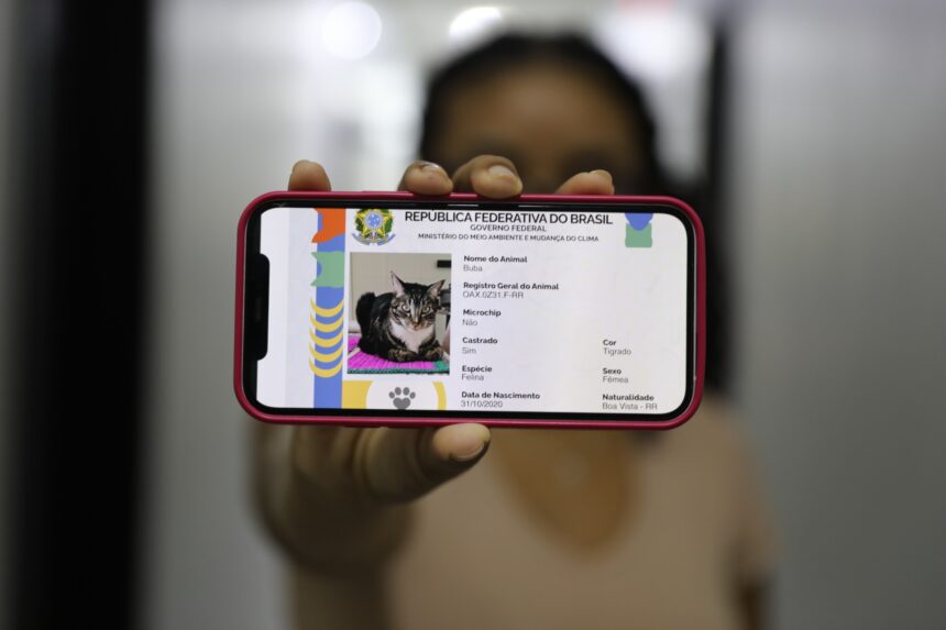 Ação da DPE vai registrar cães e gatos gratuitamente nesta sexta-feira, 17, em Boa Vista