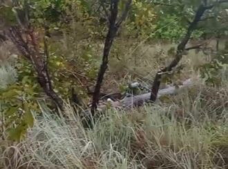 Morador da Vila São Silvestre denuncia risco de incêndio após queda de poste de energia em Alto Alegre; veja vídeo