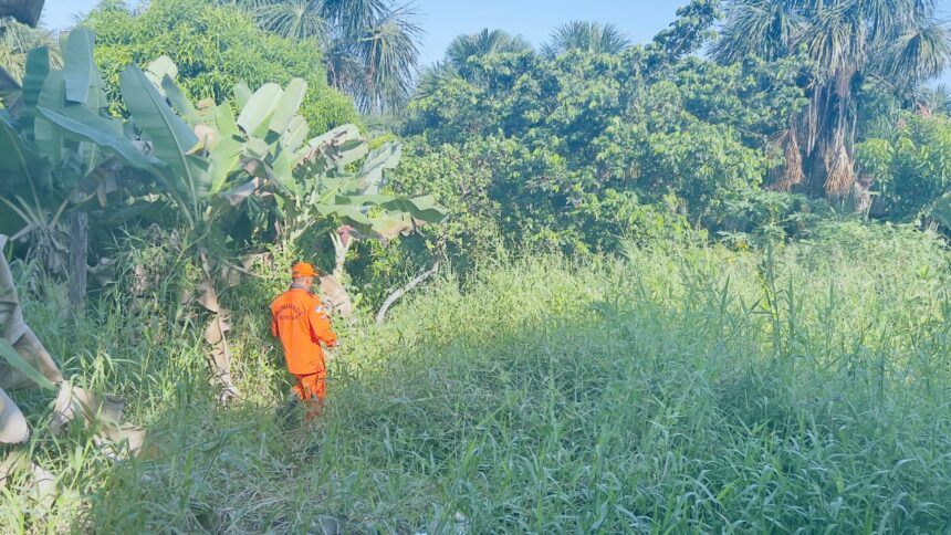 Polícia Civil e Bombeiros localizam novas partes de corpos de homens esquartejados em Boa Vista