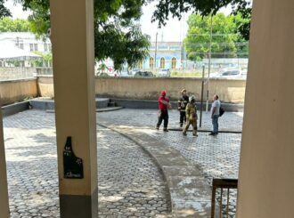 Onça é vista nas proximidades de escola no Centro de Boa Vista