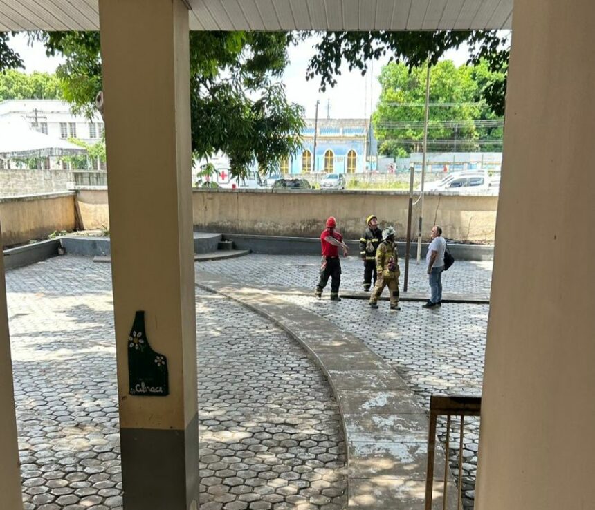 Onça é vista nas proximidades de escola no Centro de Boa Vista