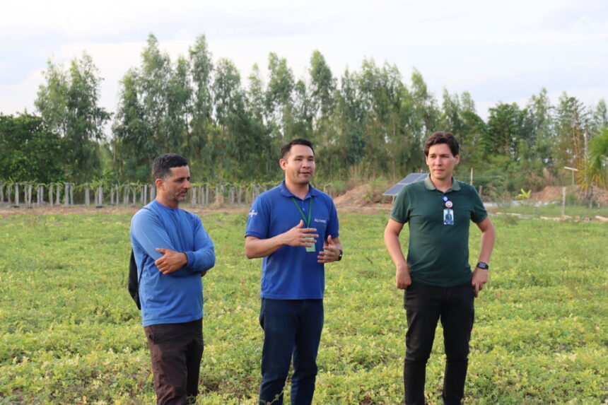 Sebrae-RR lança edital para seleção de Agentes Locais de Inovação com bolsas de R$ 5 mil