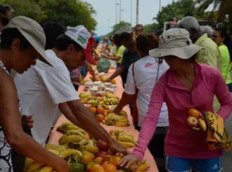 Ação da Cidadania lança a campanha nacional Natal sem Fome 2025