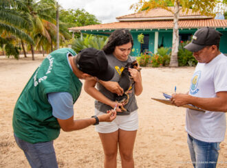 Campanha Antirrábica: vacinação avança e imuniza cães e gatos no P.A Nova Amazônia