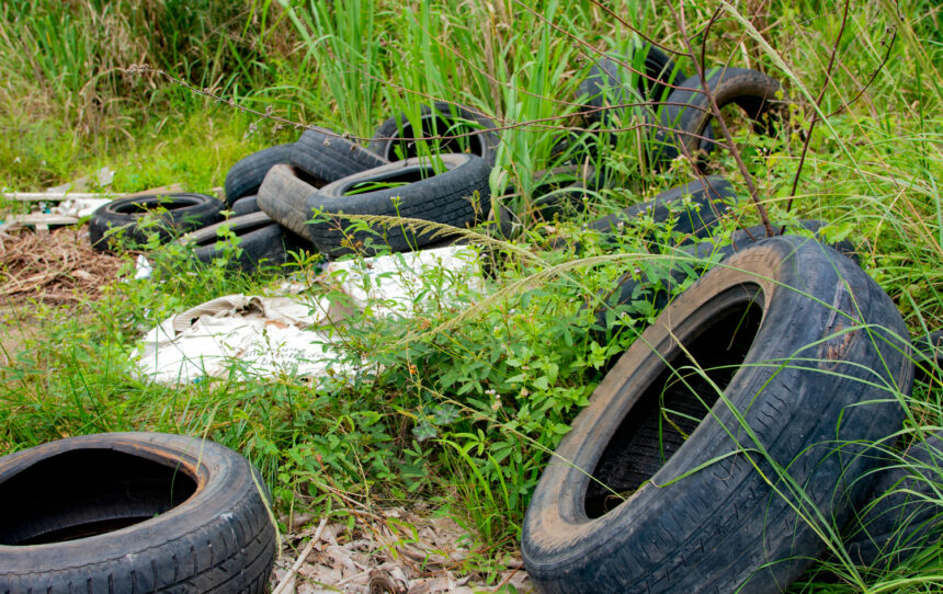 Prefeitura intensifica fiscalização de terrenos baldios em Boa Vista