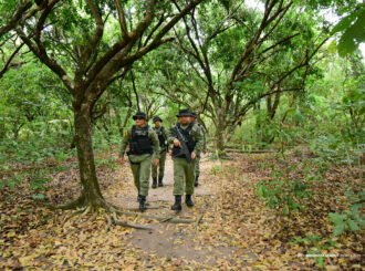 Grupamento de Proteção Ambiental atua na preservação da fauna e da flora em Boa Vista