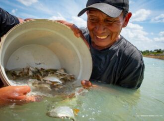 Projeto Moro-Morí: comunidade Truaru da cabeceira recebe alevinos para produção autossustentável