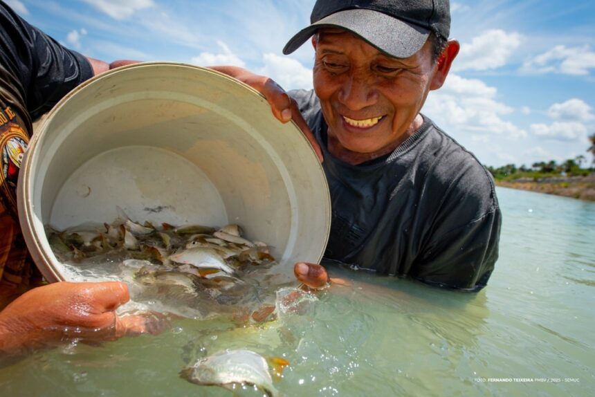 Projeto Moro-Morí: comunidade Truaru da cabeceira recebe alevinos para produção autossustentável