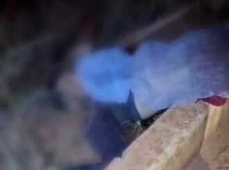 Mototaxista morre após bater em meio-fio de rotatória na RR-205, em Boa Vista