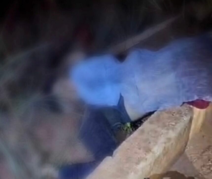 Mototaxista morre após bater em meio-fio de rotatória na RR-205, em Boa Vista