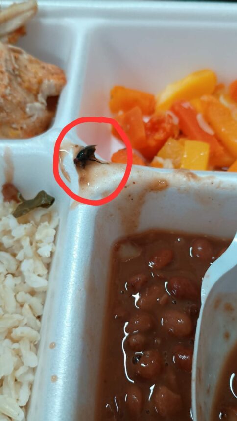 A Saúde de Roraima está entregue às moscas?