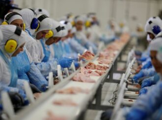 China cancela proibição para importar carne de frango do Brasil