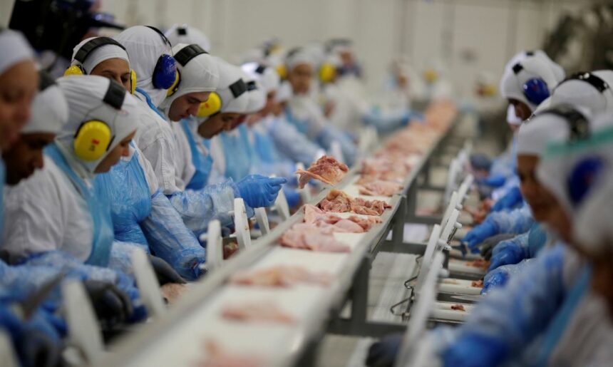 China cancela proibição para importar carne de frango do Brasil