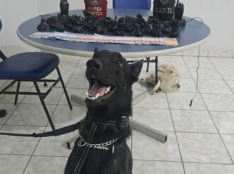 Com ajuda do Canil, membro do PCC é preso e adolescente apreendido com drogas, celulares, balanças e dinheiro no Cidade Satélite