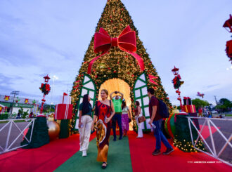 Tour Natalino leva membros do Conselho Municipal de Turismo aos pontos decorados de Boa Vista
