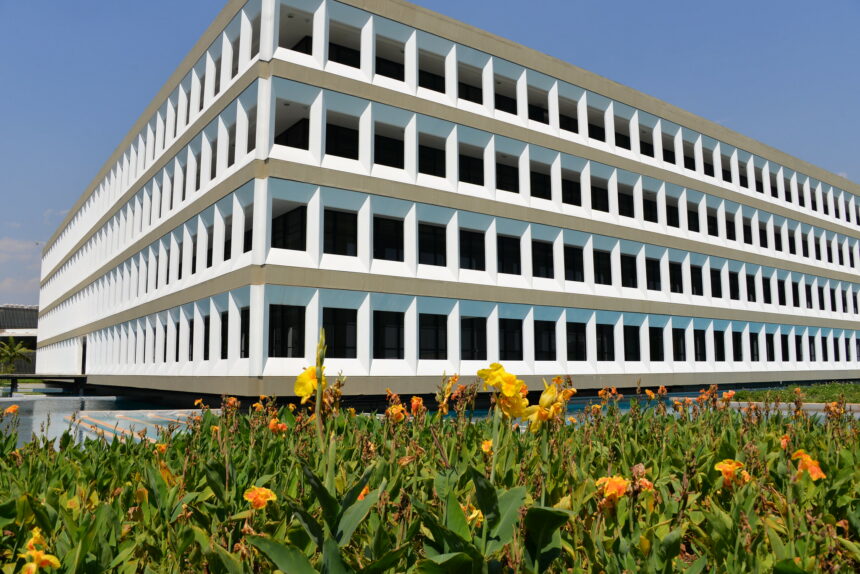 Concurso do TCU no TikTok premia vídeos criativos sobre participação cidadã com até R$10 mil