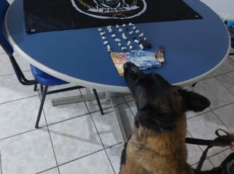 Cadeirante é preso em Boa Vista com drogas escondidas na meia