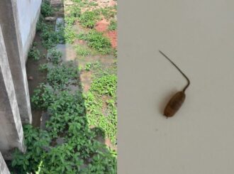 Morador do Centenário reclama de esgoto estourado há mais de 10 dias na frente de casa e relata aparecimento de larvas dentro do imóvel