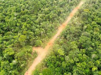 Operação Catrimani: duas pistas de pouso clandestinas são desativadas na Terra Indígena Yanomami