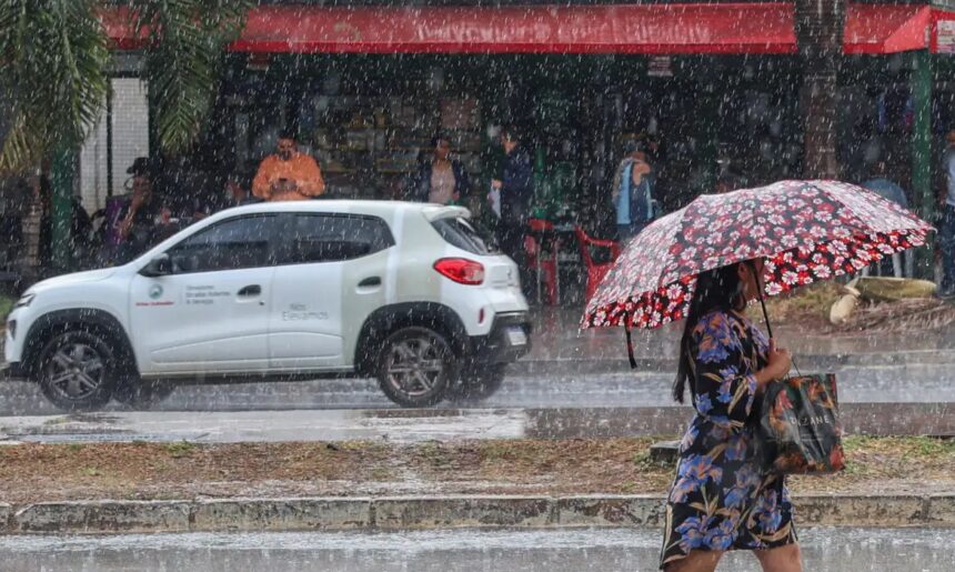 Início deste ano terá chuvas acima da média no Norte e no Sul, diz Inmet