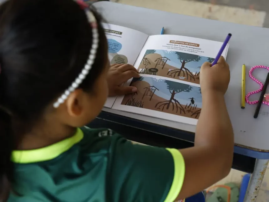 Processo seletivo: Prefeitura de Normandia lança edital para contratação de profissionais da Educação