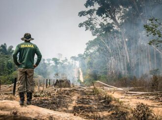 Senado: medida provisória libera R$ 60 milhões para combate a incêndios e desmatamento