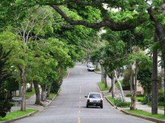 Lei autoriza poda de árvore por profissional em caso de omissão de órgão ambiental