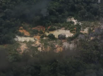 Demora na tomada de medidas permite crescimento de extração ilegal de minérios e prejudica indígenas