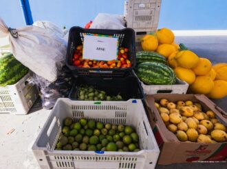 Mais de 70 toneladas de alimentos do PAA são entregues aos agricultores e instituições sociais