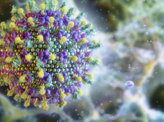 Entenda por que o risco do vírus Nipah é baixo e não ameaça o Brasil