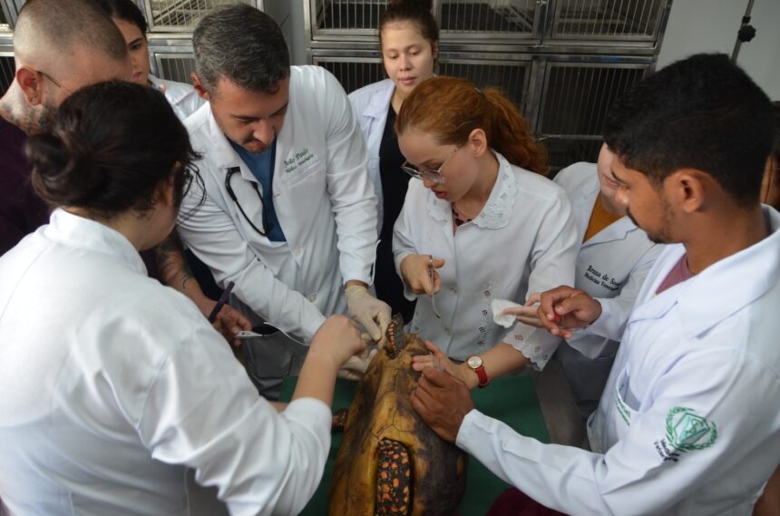 Inscrições na residência em Medicina Veterinária seguem até 2 de fevereiro