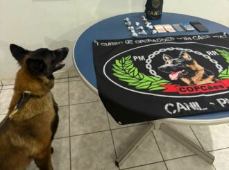 Cão farejador da PM encontra drogas escondidas em caixa de som, em Boa Vista
