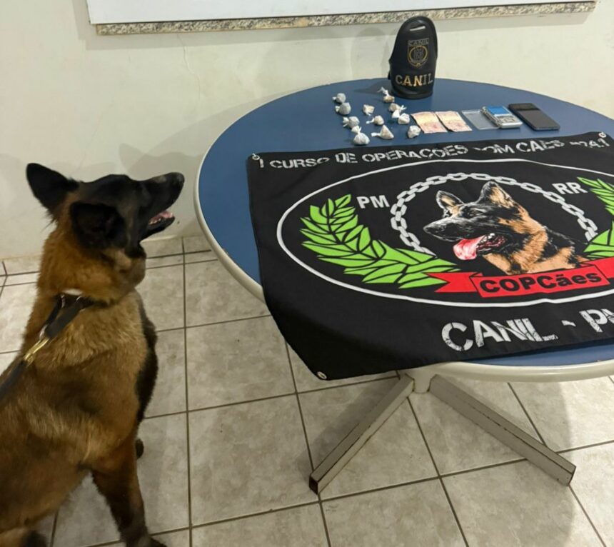 Cão farejador da PM encontra drogas escondidas em caixa de som, em Boa Vista
