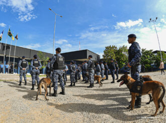 Cães da GCM se despedem do serviço ativo e iniciam nova etapa em família