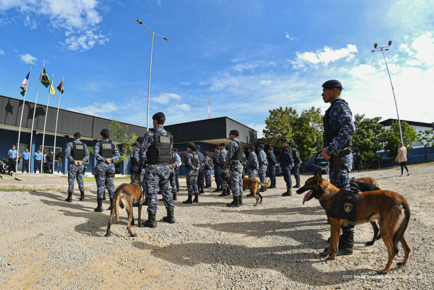 Cães da GCM se despedem do serviço ativo e iniciam nova etapa em família