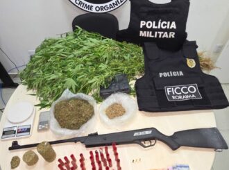 Idoso é preso por tráfico de drogas e cultivo ilegal de maconha em zona rural de Rorainópolis
