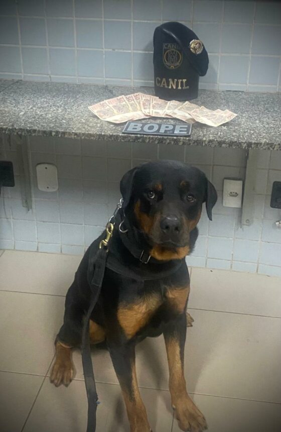 Jovem é preso com R$ 600 reais em notas falsas