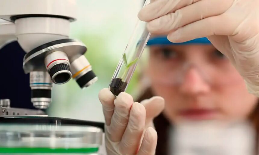 Observatório lança edital do programa Meninas Cientistas do ON