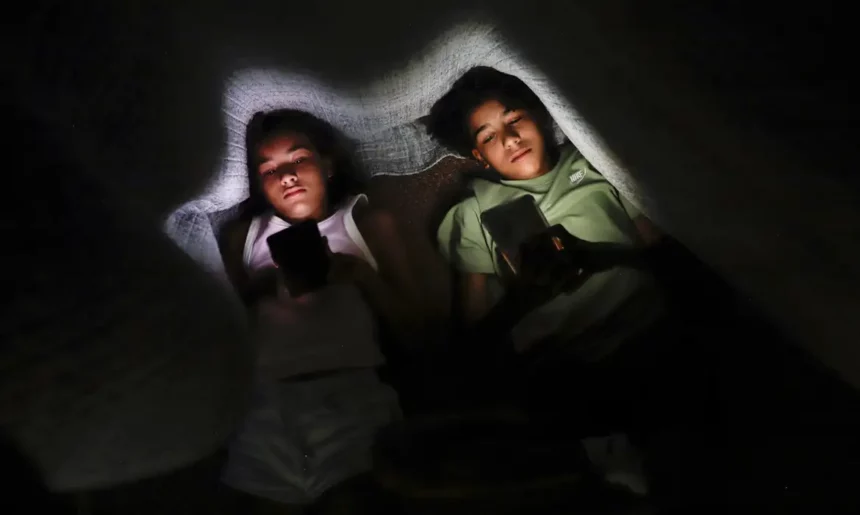 Consulta pública sugere mais rigidez no controle  de idade na internet