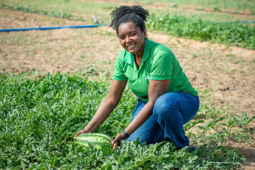 Preparação de canteiros avança para o Dia de Campo em Hortifrúti, em Centro de Difusão