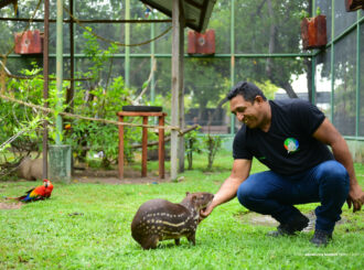 Prefeitura abre cadastro para protetores independentes, ONGs e associações da causa animal