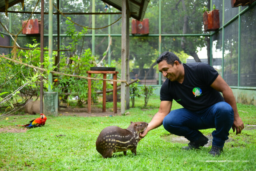 Prefeitura abre cadastro para protetores independentes, ONGs e associações da causa animal