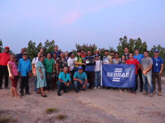 Ambiente de inovação cresce em Roraima e abre espaço para novos negócios tecnológicos