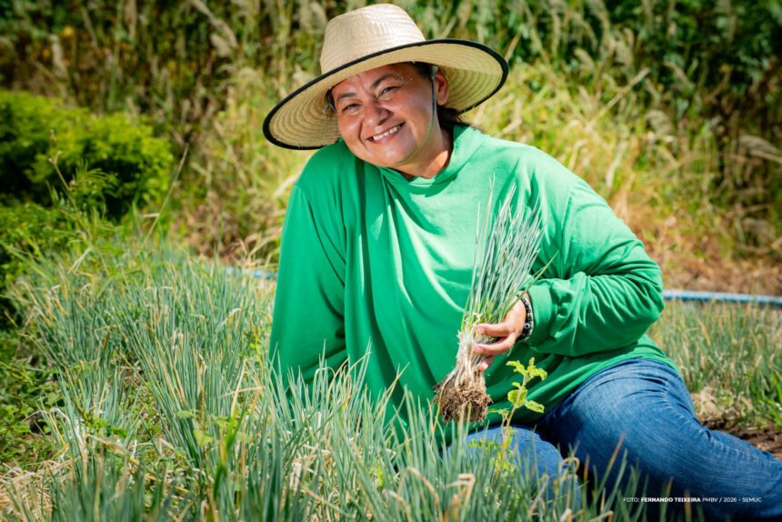Mulheres que cultivam: a força feminina na agricultura familiar de Boa Vista