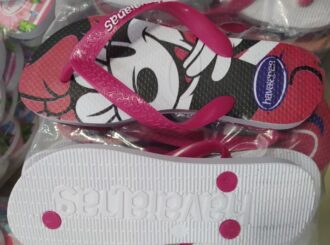 Receita Federal apreende carga irregular de calçados em caminhão na BR-174