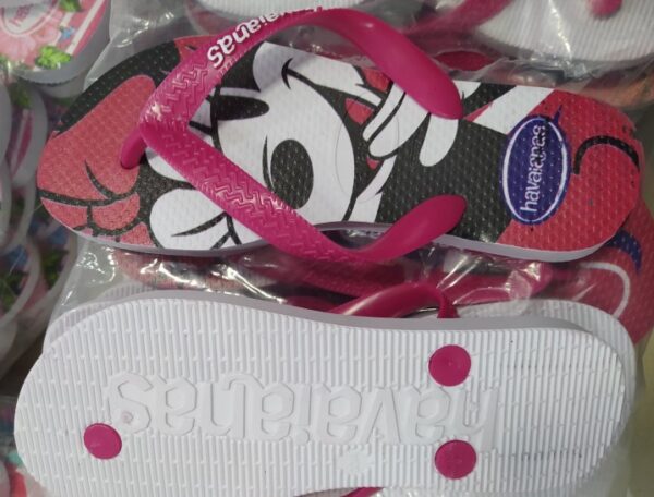 Receita Federal apreende carga irregular de calçados em caminhão na BR-174