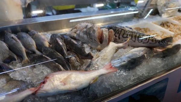 Vigilância Sanitária orienta sobre compra de pescado na Semana Santa