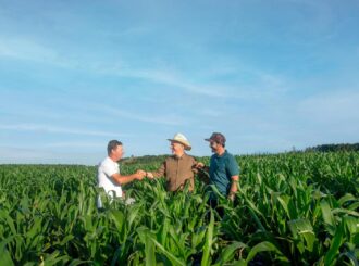 Sicredi libera R$ 8 bilhões em crédito rural em região que inclui Roraima na Safra 2025/2026